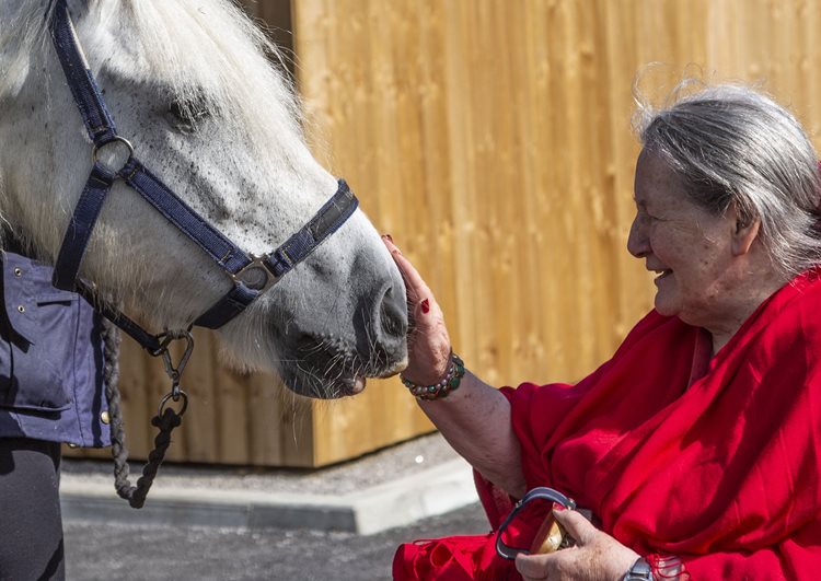 Friendly ‘neigh-bour’ brings joy to Sale care home resident